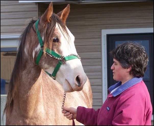 Dawn Hayman communicating with horse